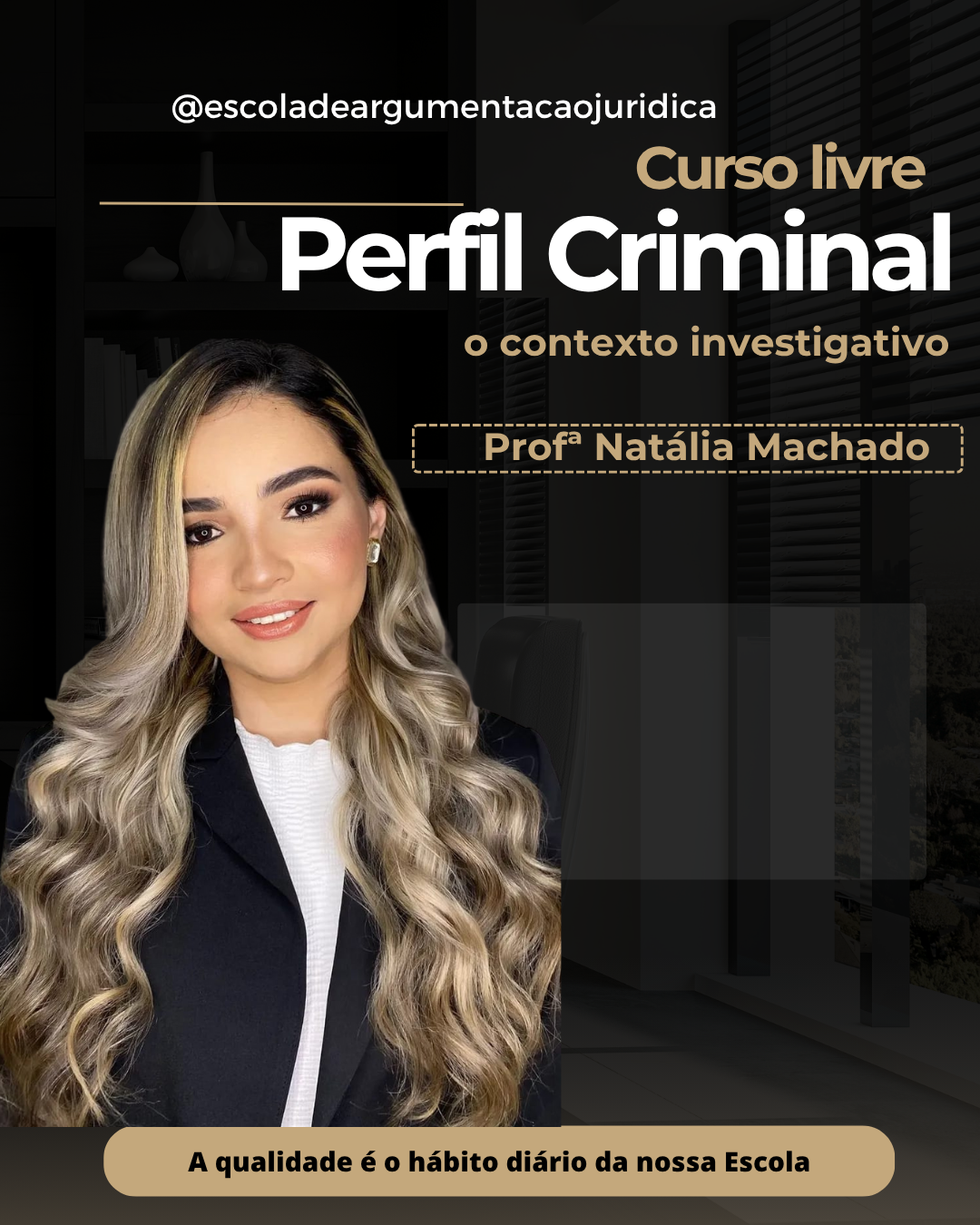PERFIL CRIMINAL: O CONTEXTO INVESTIGATIVO